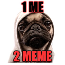 pug life | 1 ME; 2 MEME | image tagged in pug life | made w/ Imgflip meme maker