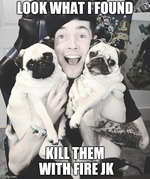 DanTDM and the pugs | LOOK WHAT I FOUND; KILL THEM WITH FIRE JK | image tagged in dantdm and the pugs | made w/ Imgflip meme maker