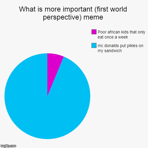 What is more important (first world perspective) meme | mc donalds put pikles on my sandwich, Poor african kids that only eat once a week | image tagged in funny,pie charts | made w/ Imgflip chart maker