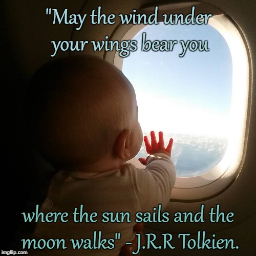 "May the wind under your wings bear you; where the sun sails and the moon walks" - J.R.R Tolkien. | image tagged in a little fern | made w/ Imgflip meme maker