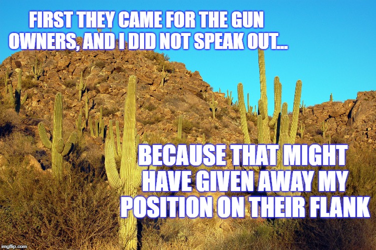 FIRST THEY CAME FOR THE GUN OWNERS, AND I DID NOT SPEAK OUT... BECAUSE THAT MIGHT HAVE GIVEN AWAY MY POSITION ON THEIR FLANK | image tagged in kektus | made w/ Imgflip meme maker
