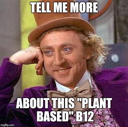 Creepy Condescending Wonka Meme | TELL ME MORE ABOUT THIS "PLANT BASED" B12 | image tagged in memes,creepy condescending wonka | made w/ Imgflip meme maker