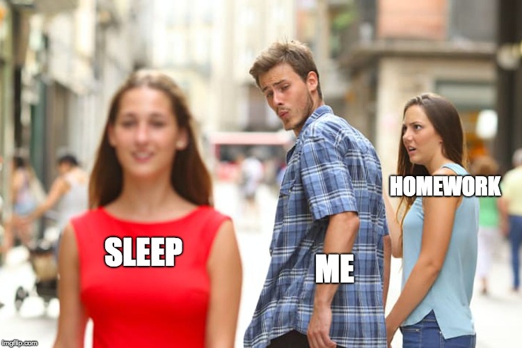 Distracted Boyfriend Meme | HOMEWORK; SLEEP; ME | image tagged in memes,distracted boyfriend | made w/ Imgflip meme maker