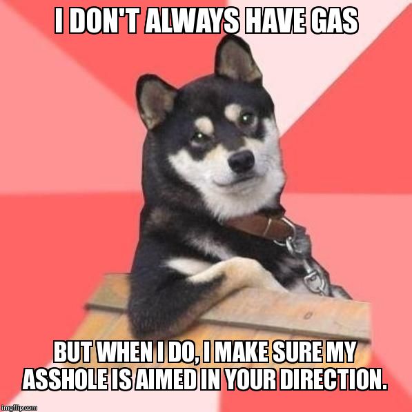 image tagged in memes,cool dog,funny | made w/ Imgflip meme maker
