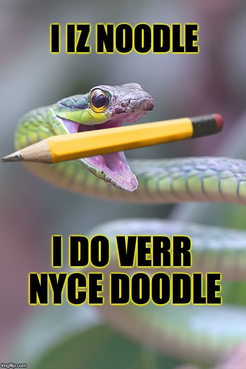 noodle doin a doodle | I IZ NOODLE; I DO VERR NYCE DOODLE | image tagged in snek,snake,snakes,art,drawing | made w/ Imgflip meme maker