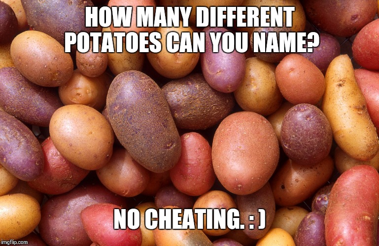 One of these Potatoes is not like the others. | HOW MANY DIFFERENT POTATOES CAN YOU NAME? NO CHEATING. : ) | image tagged in potatoes potatoes potatoes,potato,mr potato head,memes,quiz,quiz kid | made w/ Imgflip meme maker