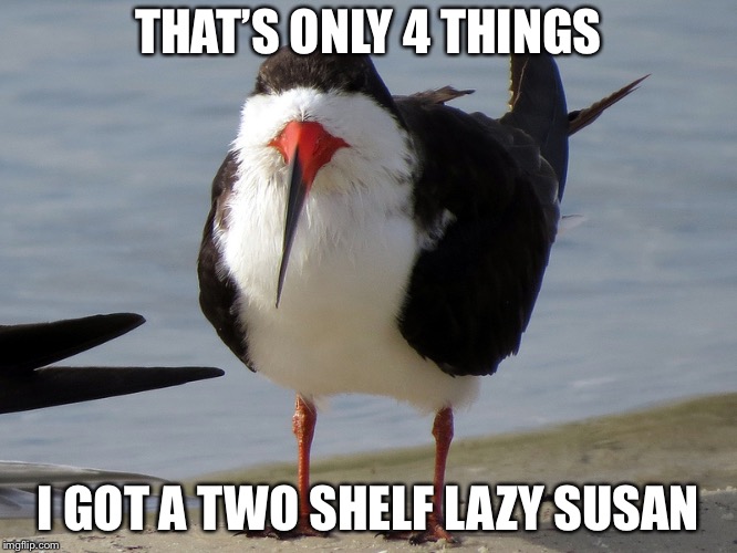 Even Less Popular Opinion Bird | THAT’S ONLY 4 THINGS I GOT A TWO SHELF LAZY SUSAN | image tagged in even less popular opinion bird | made w/ Imgflip meme maker