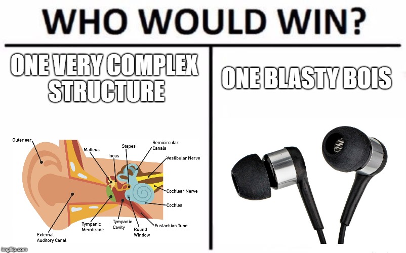 Who Would Win? Meme | ONE VERY COMPLEX STRUCTURE; ONE BLASTY BOIS | image tagged in memes,who would win | made w/ Imgflip meme maker