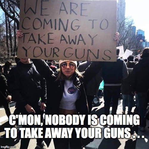 C'MON, NOBODY IS COMING TO TAKE AWAY YOUR GUNS . . . | image tagged in guns,college liberal,politics,memes,trump | made w/ Imgflip meme maker