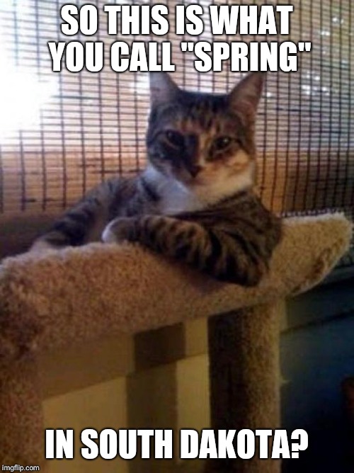 The Most Interesting Cat In The World Meme | SO THIS IS WHAT YOU CALL "SPRING"; IN SOUTH DAKOTA? | image tagged in memes,the most interesting cat in the world | made w/ Imgflip meme maker