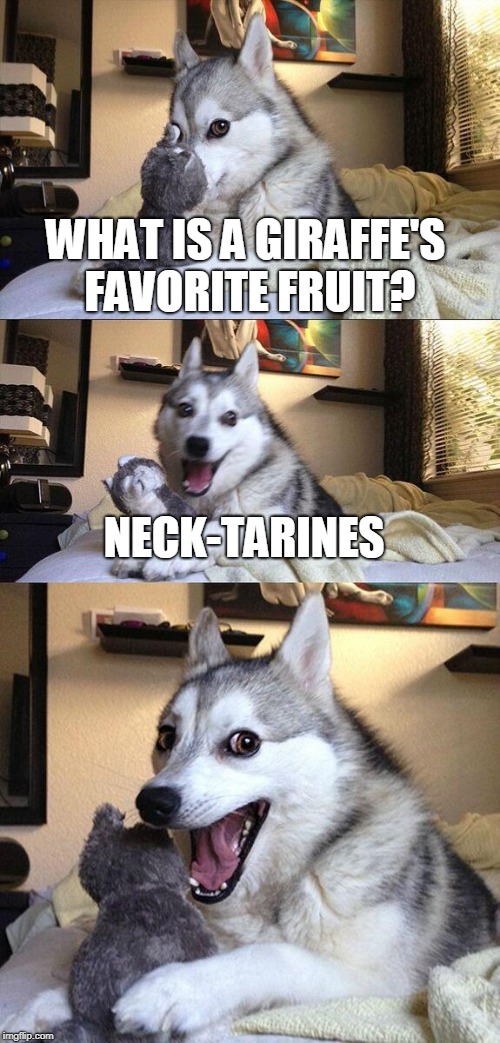 Bad Pun Dog | WHAT IS A GIRAFFE'S FAVORITE FRUIT? NECK-TARINES | image tagged in memes,bad pun dog,giraffe,fruit | made w/ Imgflip meme maker