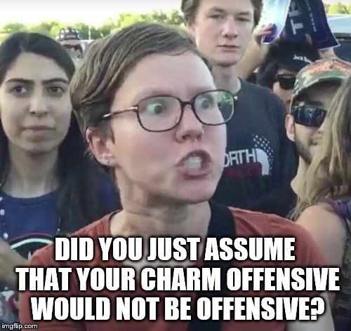 DID YOU JUST ASSUME THAT YOUR CHARM OFFENSIVE WOULD NOT BE OFFENSIVE? | made w/ Imgflip meme maker