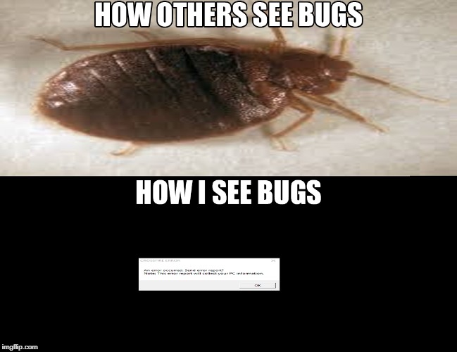 Really interesting | image tagged in how i see bugs,how others see bugs,bugs,game bugs | made w/ Imgflip meme maker