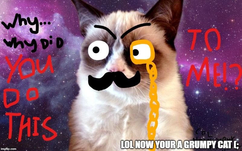 LOL NOW YOUR A GRUMPY CAT (; | image tagged in triggerdcat | made w/ Imgflip meme maker