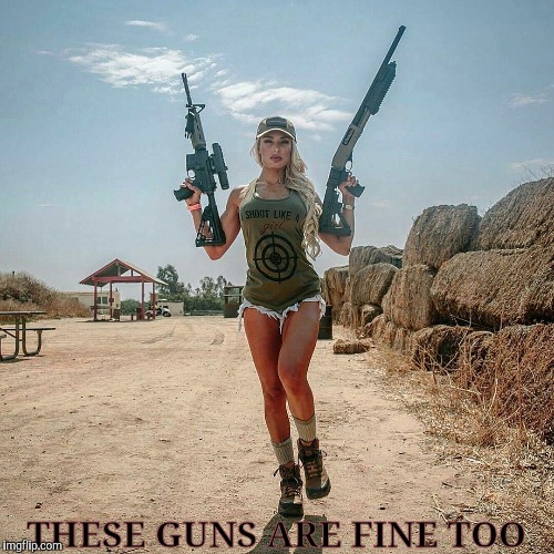 THESE GUNS ARE FINE TOO | made w/ Imgflip meme maker