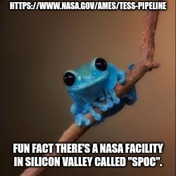 Fun Fact Frog | HTTPS://WWW.NASA.GOV/AMES/TESS-PIPELINE; FUN FACT THERE'S A NASA FACILITY IN SILICON VALLEY CALLED "SPOC". | image tagged in fun fact frog | made w/ Imgflip meme maker