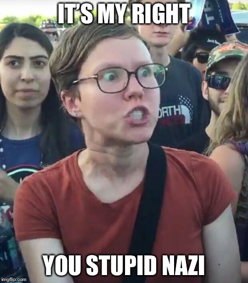 IT’S MY RIGHT YOU STUPID NAZI | made w/ Imgflip meme maker