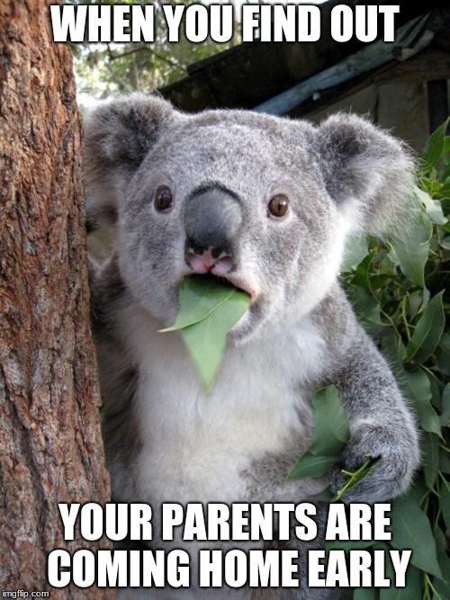 Surprised Koala | WHEN YOU FIND OUT; YOUR PARENTS ARE COMING HOME EARLY | image tagged in memes,surprised koala | made w/ Imgflip meme maker
