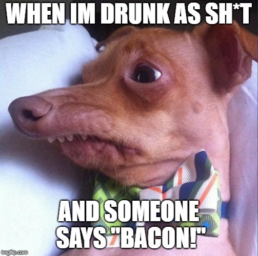 Tuna The Dog Phteven Imgflip
