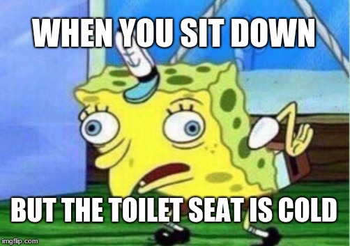 Mocking Spongebob Meme | WHEN YOU SIT DOWN; BUT THE TOILET SEAT IS COLD | image tagged in memes,mocking spongebob | made w/ Imgflip meme maker