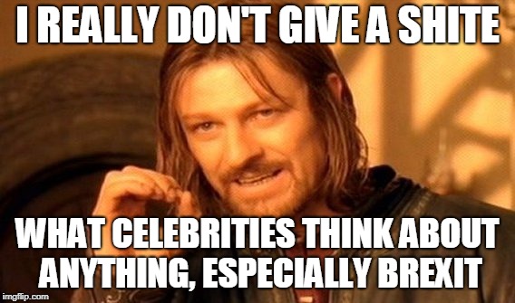 One Does Not Simply Meme | I REALLY DON'T GIVE A SHITE; WHAT CELEBRITIES THINK ABOUT ANYTHING, ESPECIALLY BREXIT | image tagged in memes,one does not simply | made w/ Imgflip meme maker