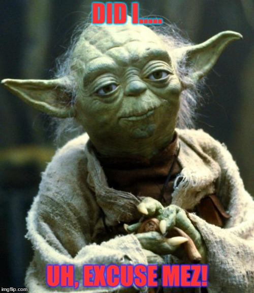 Star Wars Yoda | DID I..... UH, EXCUSE MEZ! | image tagged in memes,star wars yoda | made w/ Imgflip meme maker