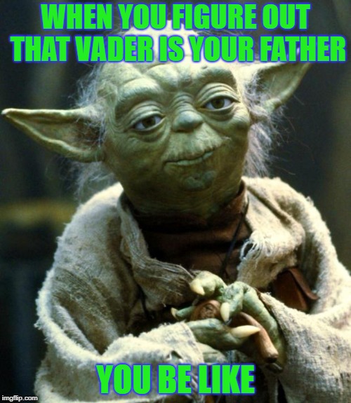 Star Wars Yoda | WHEN YOU FIGURE OUT THAT VADER IS YOUR FATHER; YOU BE LIKE | image tagged in memes,star wars yoda | made w/ Imgflip meme maker