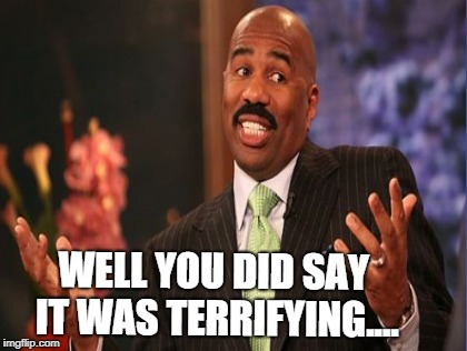 WELL YOU DID SAY IT WAS TERRIFYING.... | made w/ Imgflip meme maker