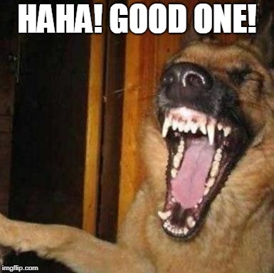 Laughing Dog | HAHA! GOOD ONE! | image tagged in laughing dog | made w/ Imgflip meme maker
