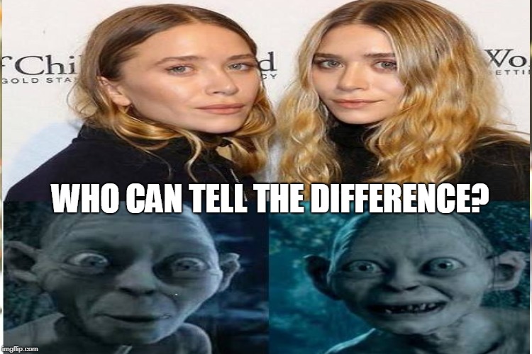 WHO CAN TELL THE DIFFERENCE? | made w/ Imgflip meme maker