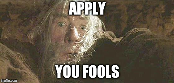 Gandalf Fly You Fools | APPLY; YOU FOOLS | image tagged in gandalf fly you fools | made w/ Imgflip meme maker