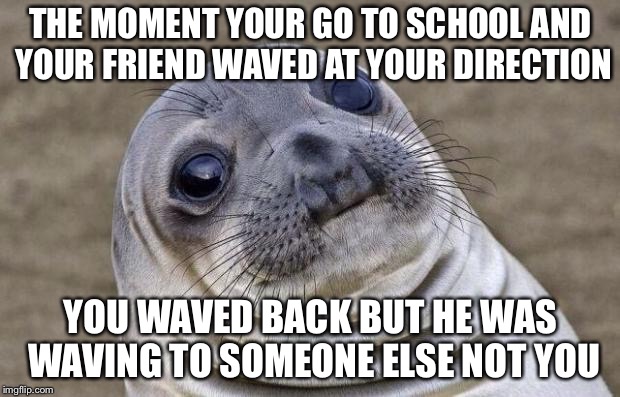 Awkward Moment Sealion Meme | THE MOMENT YOUR GO TO SCHOOL AND YOUR FRIEND WAVED AT YOUR DIRECTION; YOU WAVED BACK BUT HE WAS WAVING TO SOMEONE ELSE NOT YOU | image tagged in memes,awkward moment sealion | made w/ Imgflip meme maker