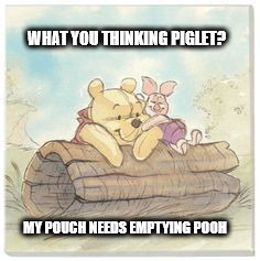 WHAT YOU THINKING PIGLET? MY POUCH NEEDS EMPTYING POOH | image tagged in piglet and pooh | made w/ Imgflip meme maker