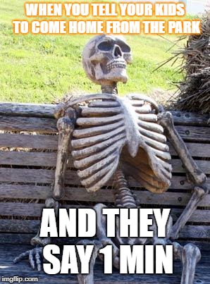 Waiting Skeleton Meme | WHEN YOU TELL YOUR KIDS TO COME HOME FROM THE PARK; AND THEY SAY 1 MIN | image tagged in memes,waiting skeleton | made w/ Imgflip meme maker