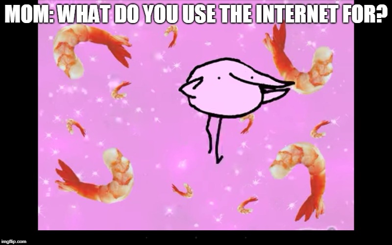 MOM: WHAT DO YOU USE THE INTERNET FOR? | image tagged in berd | made w/ Imgflip meme maker