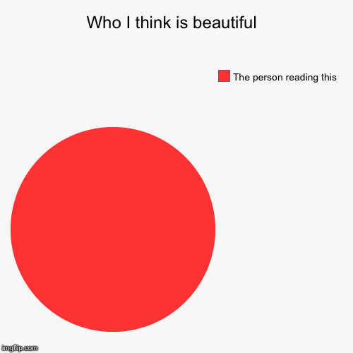 Who I think is beautiful  | The person reading this | image tagged in funny,pie charts | made w/ Imgflip chart maker