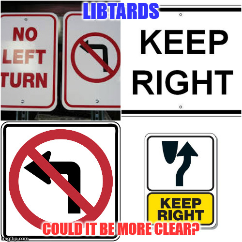 common sense | LIBTARDS; COULD IT BE MORE CLEAR? | image tagged in libtards,conservative | made w/ Imgflip meme maker
