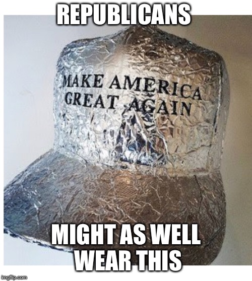 Republican headwear  | REPUBLICANS; MIGHT AS WELL WEAR THIS | image tagged in republicans | made w/ Imgflip meme maker