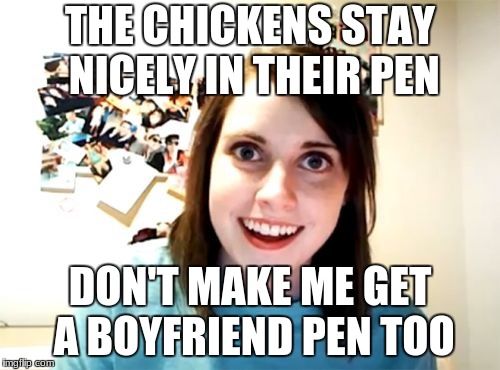 I know I missed chicken week, but this is to make up for it. | THE CHICKENS STAY NICELY IN THEIR PEN; DON'T MAKE ME GET A BOYFRIEND PEN TOO | image tagged in memes,overly attached girlfriend | made w/ Imgflip meme maker