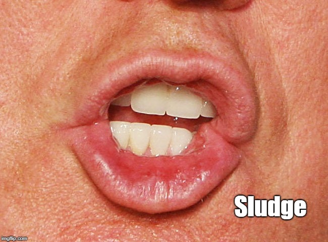 "Sludge Sucker" | Sludge | image tagged in deplorable donald,despicable donald,detestable donald,devious donald,dishonorable donald,brown back teeth | made w/ Imgflip meme maker