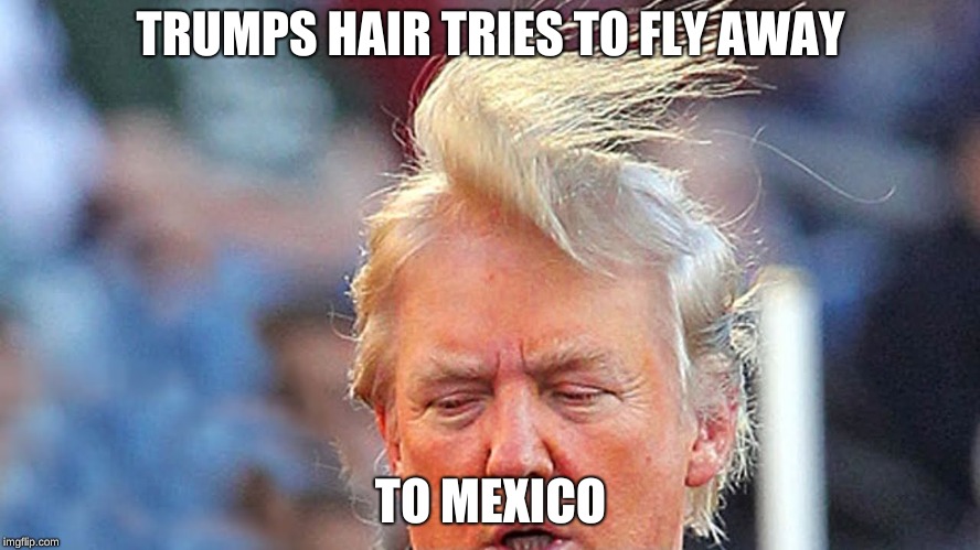 TRUMPS HAIR TRIES TO FLY AWAY; TO MEXICO | image tagged in meme,donald trump,hair,donald trump hair | made w/ Imgflip meme maker