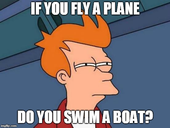 Futurama Fry | IF YOU FLY A PLANE; DO YOU SWIM A BOAT? | image tagged in memes,futurama fry | made w/ Imgflip meme maker