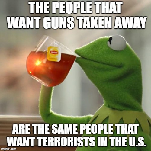 But That's None Of My Business | THE PEOPLE THAT WANT GUNS TAKEN AWAY; ARE THE SAME PEOPLE THAT WANT TERRORISTS IN THE U.S. | image tagged in memes,but thats none of my business,kermit the frog | made w/ Imgflip meme maker