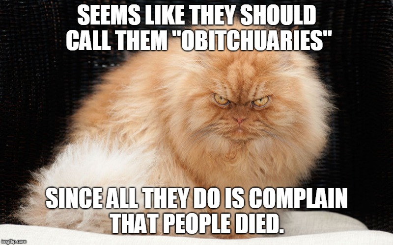 SEEMS LIKE THEY SHOULD CALL THEM "OB**CHUARIES" SINCE ALL THEY DO IS COMPLAIN THAT PEOPLE DIED. | image tagged in mean cat | made w/ Imgflip meme maker