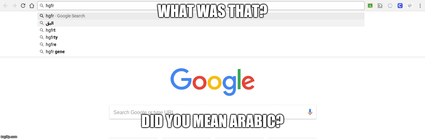 WHAT WAS THAT? DID YOU MEAN ARABIC? | image tagged in google | made w/ Imgflip meme maker