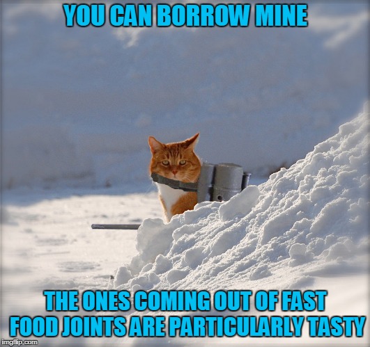 YOU CAN BORROW MINE THE ONES COMING OUT OF FAST FOOD JOINTS ARE PARTICULARLY TASTY | made w/ Imgflip meme maker