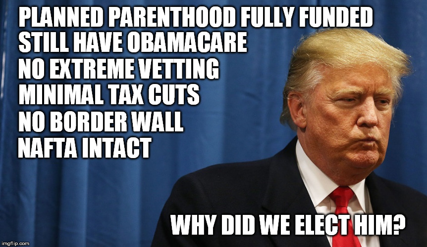 Unfulfilled Trumpery | STILL HAVE OBAMACARE; PLANNED PARENTHOOD FULLY FUNDED; NO EXTREME VETTING; MINIMAL TAX CUTS; NO BORDER WALL; NAFTA INTACT; WHY DID WE ELECT HIM? | image tagged in donald trump | made w/ Imgflip meme maker