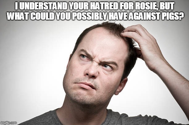 confused | I UNDERSTAND YOUR HATRED FOR ROSIE, BUT WHAT COULD YOU POSSIBLY HAVE AGAINST PIGS? | image tagged in confused | made w/ Imgflip meme maker