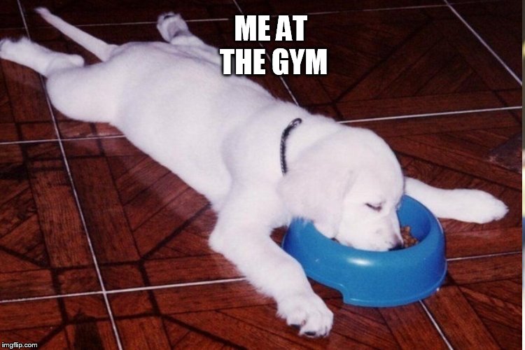 ME AT THE GYM | made w/ Imgflip meme maker