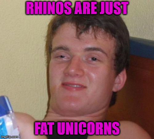 Rhinos vs unicorns | RHINOS ARE JUST; FAT UNICORNS | image tagged in memes,10 guy,fat,unicorns,rhino | made w/ Imgflip meme maker